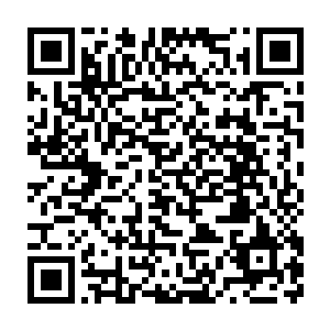 以五百万美元的周末票房成绩成为了二月第一周的北美周末票房冠军二维码生成