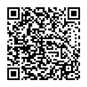 以他们几个人的实力跟下面的几大家族之中的人也根本没有太大的差别二维码生成