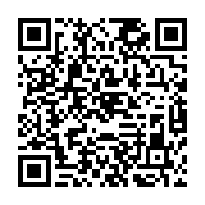 以他们的实力对付这个血统不纯的四头鸟妖或许还不是问题二维码生成