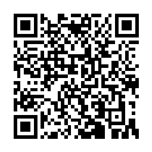 以他们的心智从秦洛的名字已经是联想到了什么二维码生成