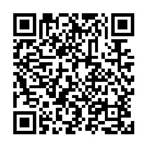 以他们的经验和能力可以担任任何一支中层玩家队伍的领袖二维码生成
