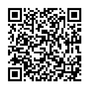 以他们的资历经验就连单独统领一军的主将资格都还没有二维码生成