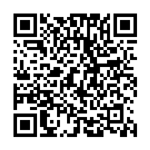 以他现在的力量根本就无法和实力达到圣皇强者的虎王对抗二维码生成