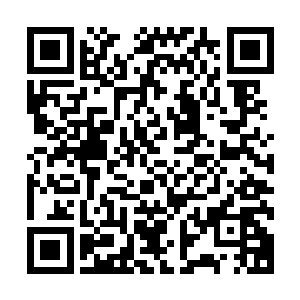 以他自己的天赋和实力在这条试炼之路上不会有多大的成就了二维码生成