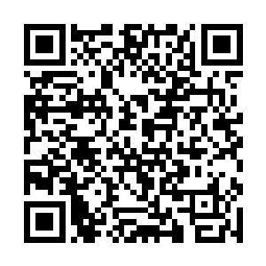 以你们的实力给了悬天界混得开就已经相当不容易了二维码生成