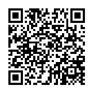 以便我们获得更多样化的数据……也就是……这一段二维码生成