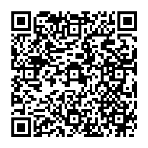 以前其实也不是没有仙人怀疑过那三位岁数其实只相差几岁的小姐不是城主夫人所出二维码生成