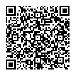 以前龙皇城中接待各域龙皇神殿选拔出来送到龙皇城参加神殿大比的几座神风殿现在如何二维码生成