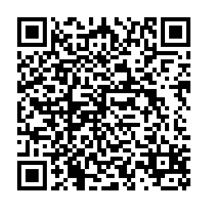 以及三名我们从作家协会请来的老师共同组成的二十人专家评审团二维码生成