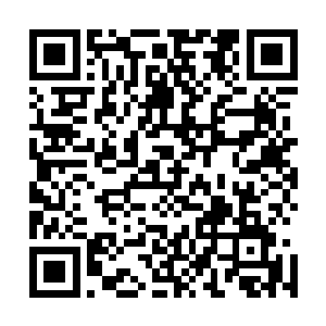 以及二十四颗定海神珠当中也传承了不少上古医术和炼丹术二维码生成