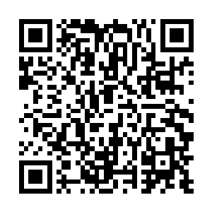 以及半年前在星海会战中操纵九幽玄骨的动态分析数据二维码生成