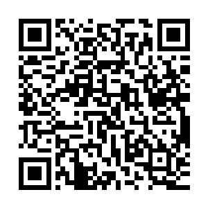 以及台下数万人那几乎不会停止的欢呼与呐喊……这一切的一切二维码生成