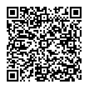 以及各大星界皇族中天分天赋无不极为优秀的那部分皇族年轻人聚到一起展开的战斗二维码生成