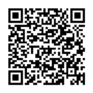 以及在巴库勒森林奇遇龙涎果的经历简单讲了一遍二维码生成