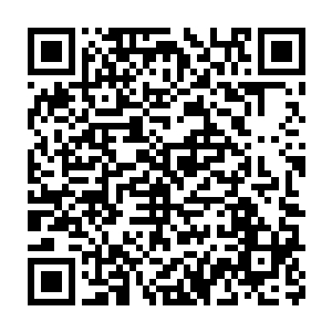 以及在平川第一实验小学行凶的那名歹徒展开了一轮轮的心理攻势二维码生成