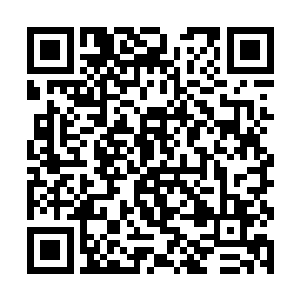 以及在过去数万年间曾经占据过这座洞府的前辈古修二维码生成