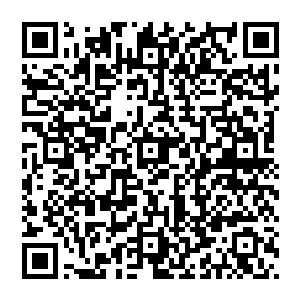 以及安琪儿等人和杨凌等人的雷火攻击还有周御龙同样以蜀山传承催动的万剑诀剑气给阻挡了下来二维码生成