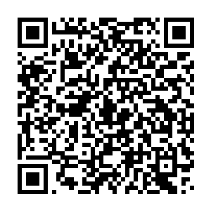 以及应付差事一般等着录一段大咖的影像拿去播新闻和娱乐快报的二维码生成