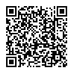 以及无数丧尸生物的楚旬却依旧拥有了他曾经根本无法想象的庞大积分二维码生成