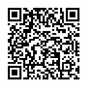 以及比金毛更加强韧的皮肉竟然也无法抵挡这酸血的侵蚀二维码生成