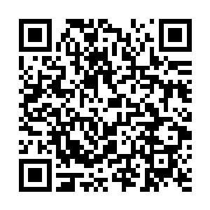 以及独行客与金冠皇蟒说话的内容感觉奇怪和震撼的时候二维码生成