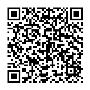 以及被冲击波所席卷的无数锋锐弹片组成了一股恐怖至极的死亡风暴二维码生成