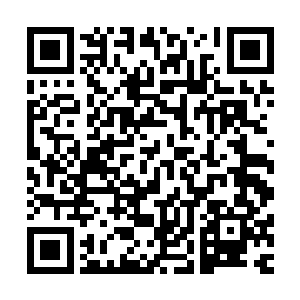 以及通过血祭所损失的那些信徒一时半会之间也根本无法恢复二维码生成