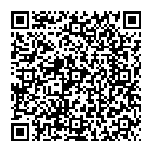 以后万一真的遇到了仇敌设下陷阱的话数学也可以自保自己也就不用分神去救他了这样是最好的了二维码生成