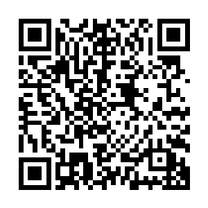 以后他就是你们的掌门……一切事宜……皆需要听命辅佐于他二维码生成