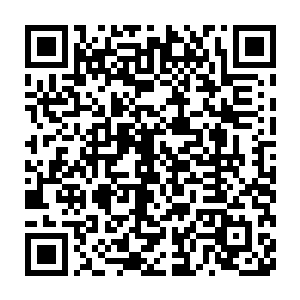 以后是不是可以打着少数服从多数的原则去明目张胆的侵略别的国家了二维码生成