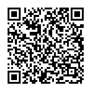 以后环儿即便出嫁……也会常回来……孝顺你们……求表舅母别赶我……二维码生成