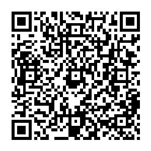 以后的大事……就你做主……由你撑着……让张肃帮着你……天塌了都不怕……我也放心二维码生成
