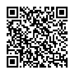 以后说不定会成为顾氏家主而且顾贝还没有在大世界中组建势力二维码生成