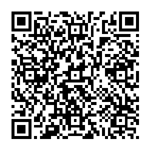 以后还会是皇后……明明前不久她还是个要倚在自己怀里撒娇的憨态可掬的小女儿二维码生成