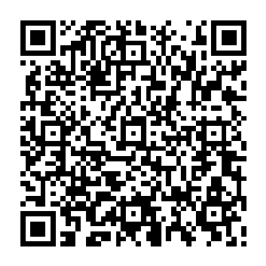 以咱们没背景撑腰拿不到成绩回来保不住自己的位置为由极力劝阻大统领和别人结盟二维码生成