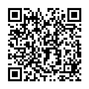 以地仙锐目放眼可见整片世界鬼潮兵线上无数场景闪动而过二维码生成