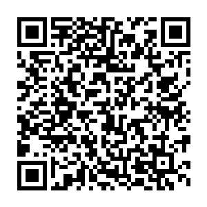 以奇快无比的速度在这庞大的土黄色蝎子身上结结实实的缠了几圈二维码生成