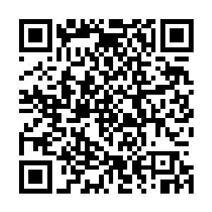 以她们的身份地位确实不太可能会和苏凡在未来有什么交集二维码生成