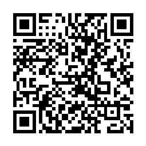 以峰主他们的实力要灭杀秦宇不就是动动手指的事情吗二维码生成