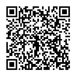 以往无往不利的爪子竟然只在杨戬的手臂上留下了一道浅浅的痕迹二维码生成