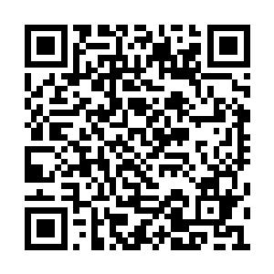 以往每一周或者两周就会在她身边找到棒棒糖了二维码生成