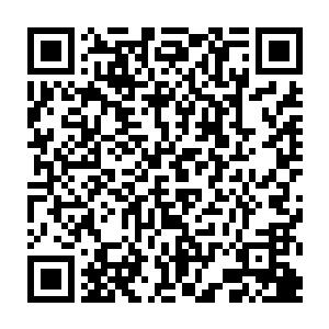以我手腕处小舞按捺不住看到咕仔现身后的激动情绪脱腕而出扑向咕仔宣告结束二维码生成