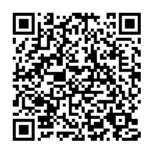 以散兵队形在夜色和淡淡雾气的掩护下像狸猫一般无声的向目标滲透二维码生成