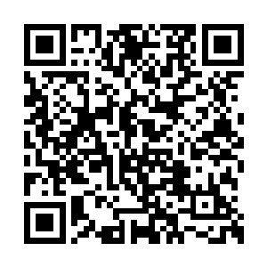 以最高固元境修为对战本次沧阳大会三代组冠军二维码生成