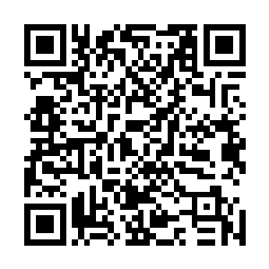 以杨晨的实力肯定可以在斗战台上取得胜利获得别人的认可二维码生成