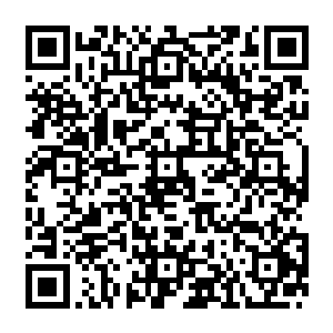 以此优化我们的仙天――不然你觉得我们仙天的成长纯粹就是用资源堆积起来的沙滩城堡二维码生成