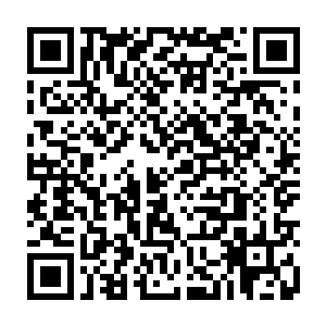 以禽皇这普通神级的血肉之躯根本无法抵挡这泣血重盾中血系力量的吞噬二维码生成