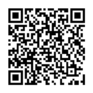 以秦老爷子为首的一系秦家主干却对他的表现是相当满意的二维码生成