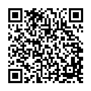 以老人刚硬的脾气还算是给了侄子脸面――这侄子文武兼修有成二维码生成