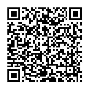 以自己的实力想要保护在阿死亡森林里面的阿璃可是一件很简单的事情了二维码生成